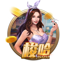 记者：萨索洛即将签下都灵队中25岁后卫瓦卢基维茨